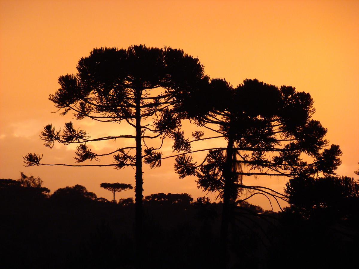 Hotel Pousada Das Araucarias Риу-Негринью Экстерьер фото